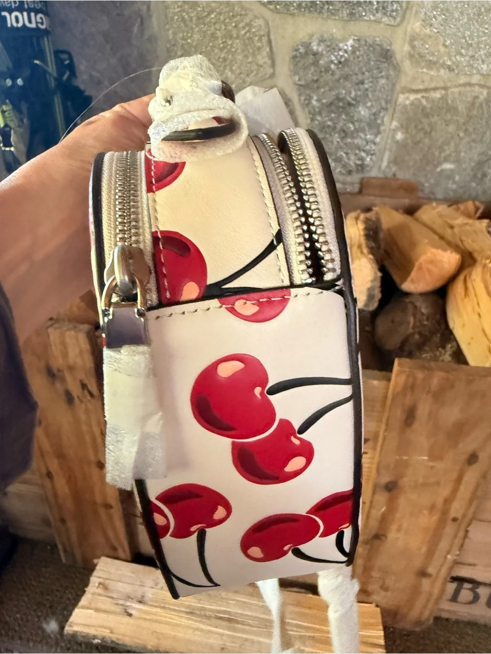 Coach Heart Cherry Print Crossbody Bag